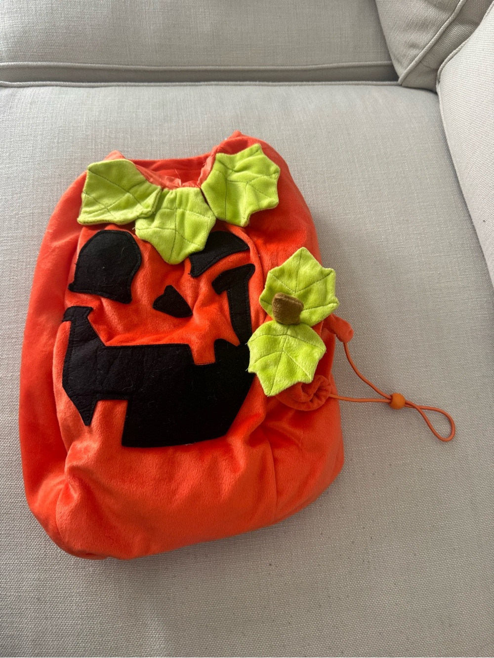 Dog Pet Orange Pumpkin Halloween Costume - Cute Jack-O'-Lantern